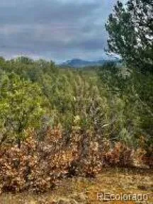 $95,500 | 29870 County Road 16, Trinidad, CO 81082