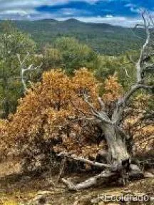 $95,500 | 29870 County Road 16, Trinidad, CO 81082