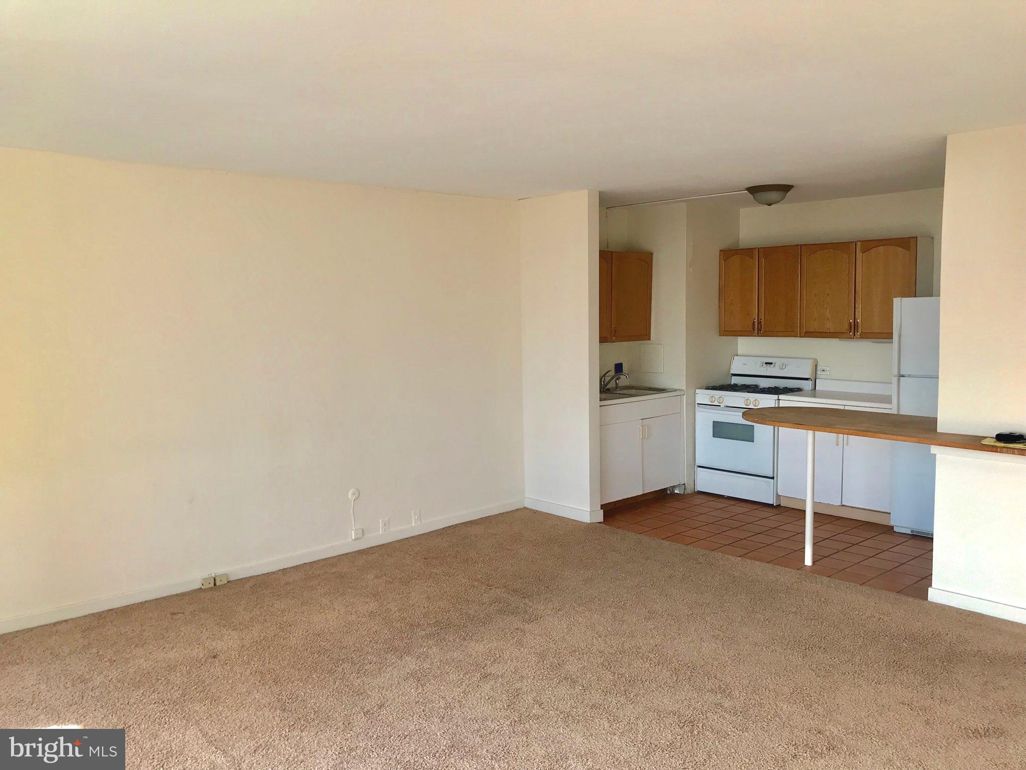 210 Locust Street, Unit 19CW Philadelphia, PA 19106 - Photo 2 of 12