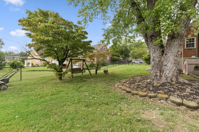 a view of a park with a tree