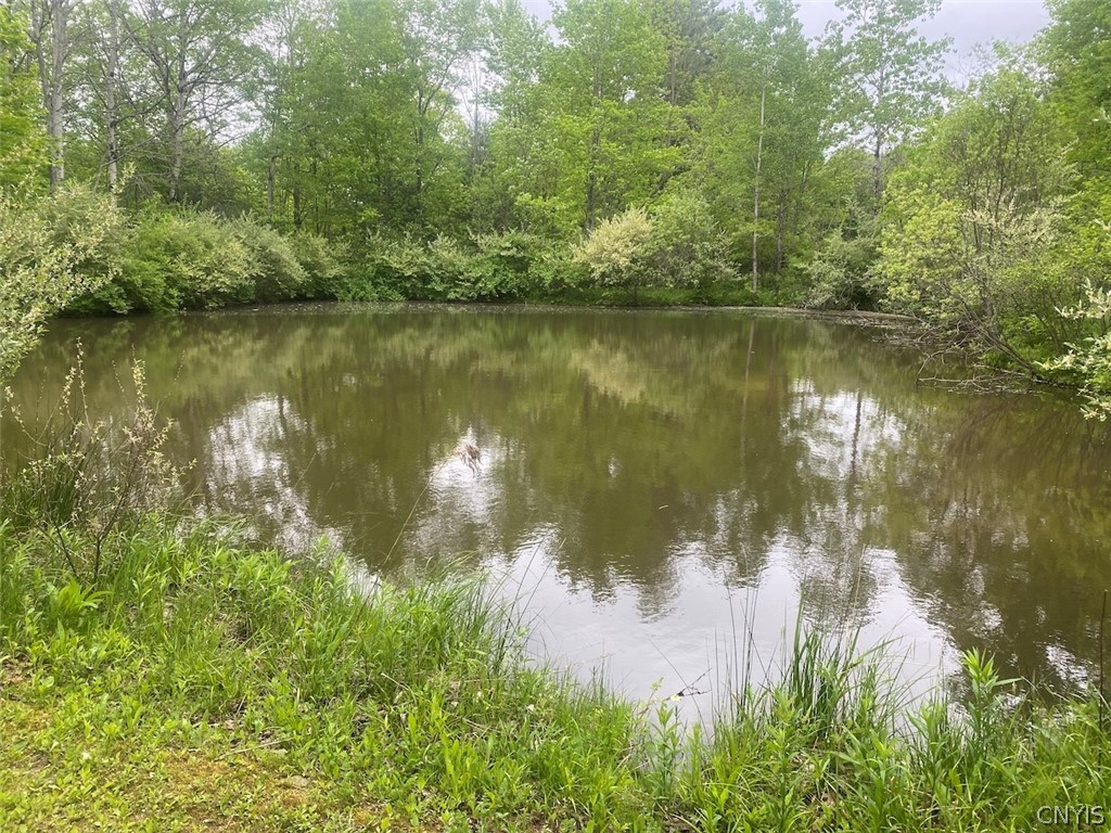 7133 Murry Hill Road Belfast, NY 14711 - Photo 20 of 33