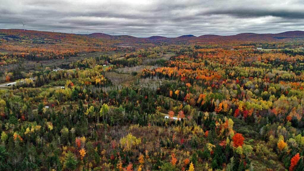 Lot 4 Off Webb Road Oakfield, ME 04763 - Photo 12 of 28 land-in-maine-oakfield