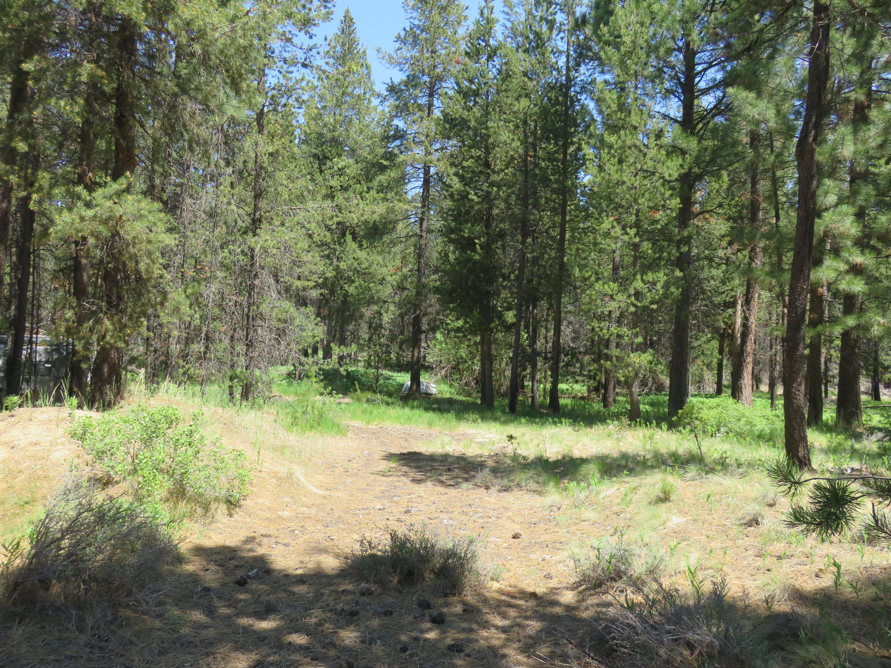 16880 Indio Road Bend, OR 97707 - Photo 4 of 8 IMG_0009