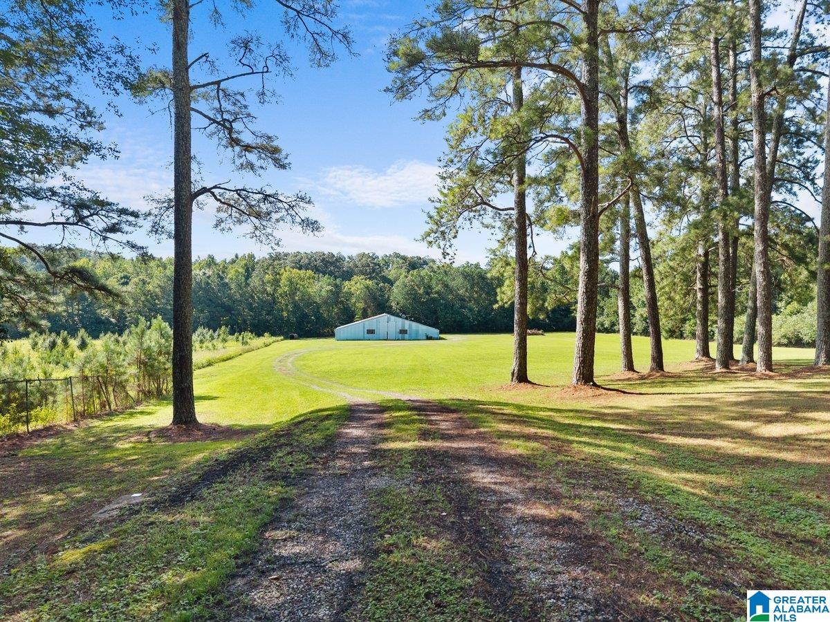 1120 Valley Road Oneonta, AL 35121 - Photo 9 of 32 Gallery Image 9