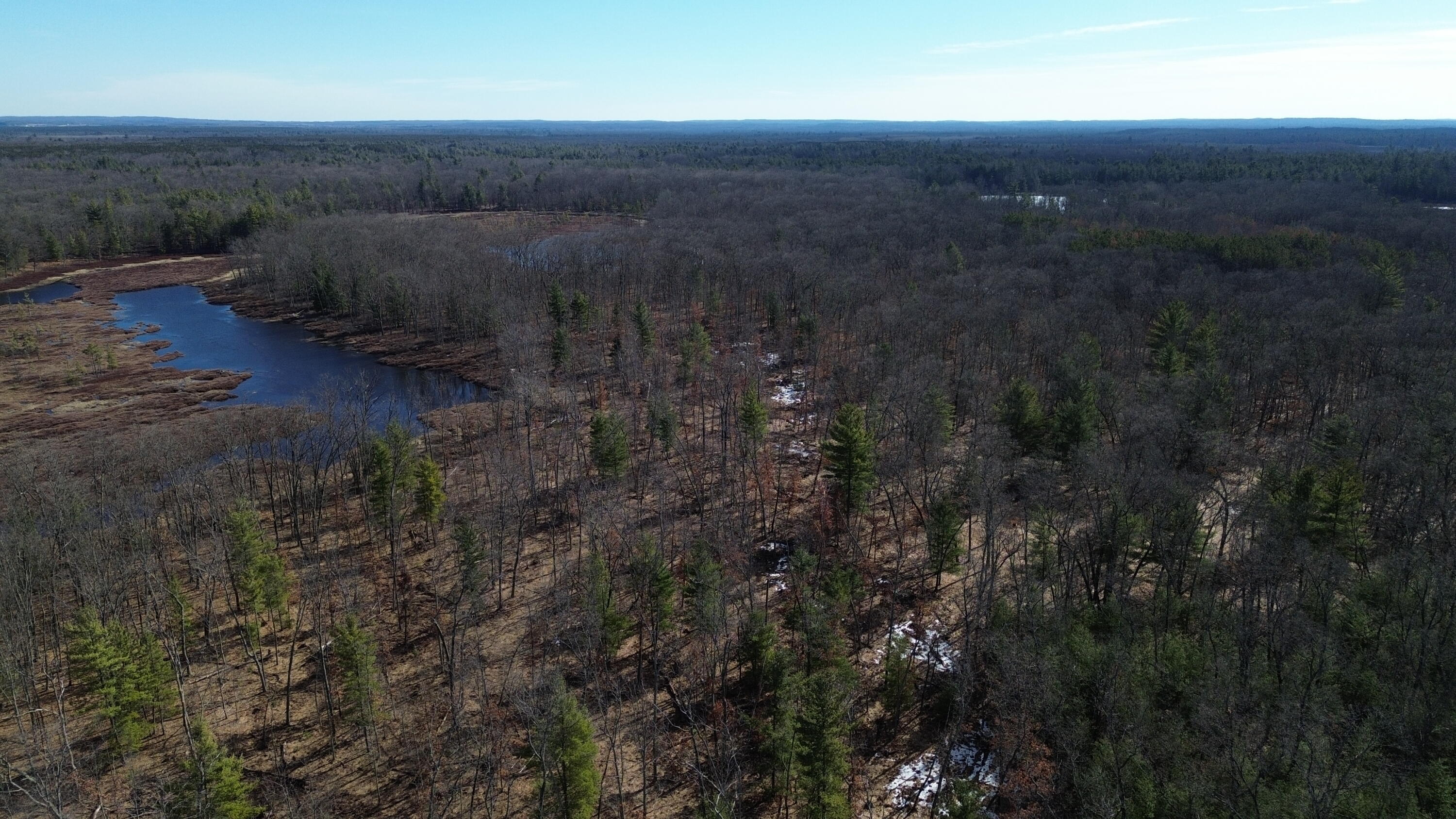 7746 North Woodbridge Road Brohman, MI 49312 - Photo 31 of 41 acreage