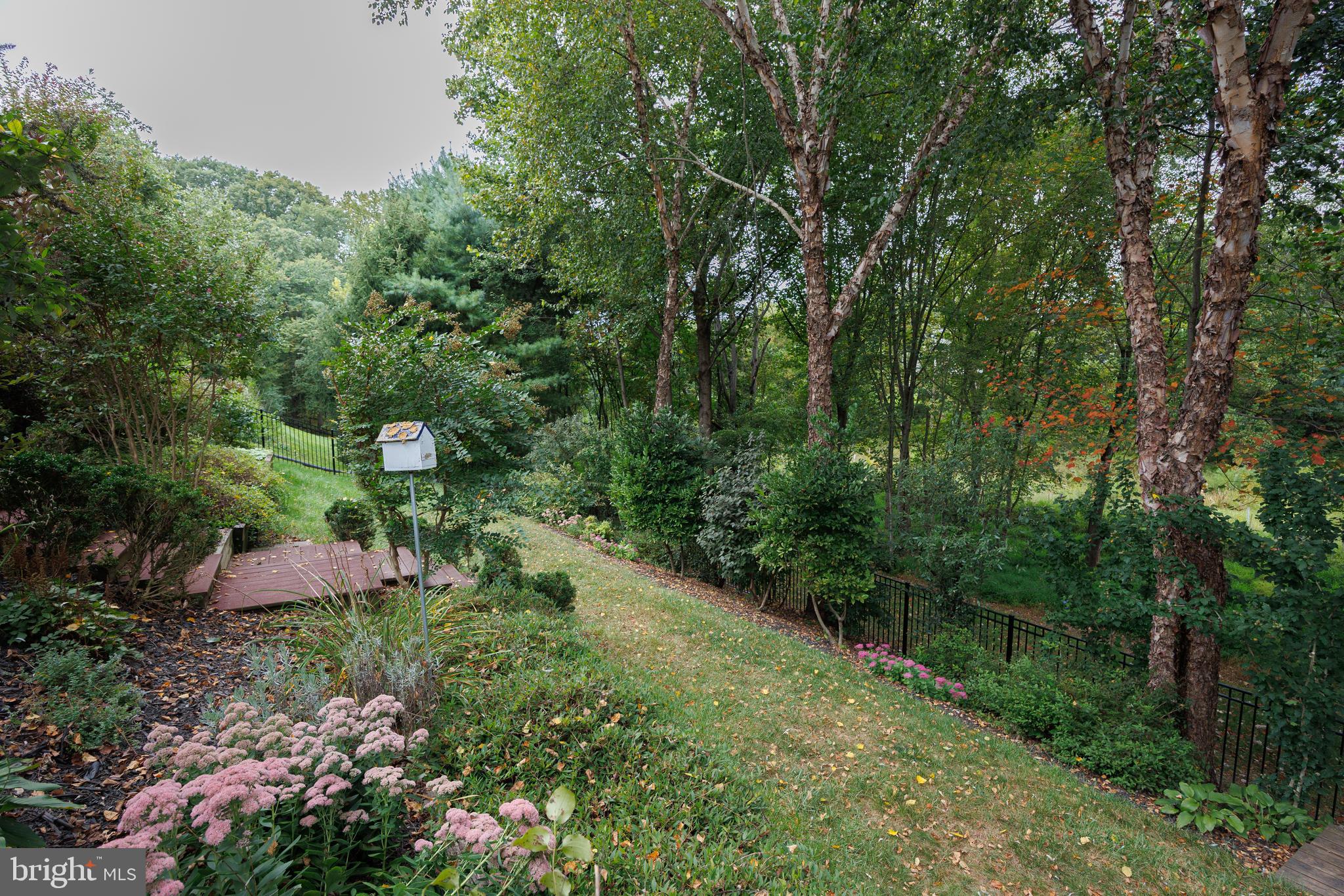 6265 White Birch Road Eldersburg, MD 21784 - Photo 13 of 17 a view of a lush green forest with lots of trees