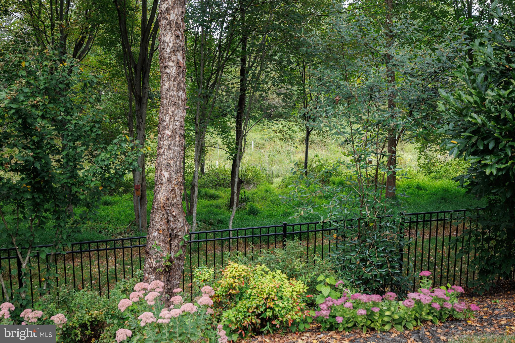 6265 White Birch Road Eldersburg, MD 21784 - Photo 14 of 17 a yard with lots of green space and plants