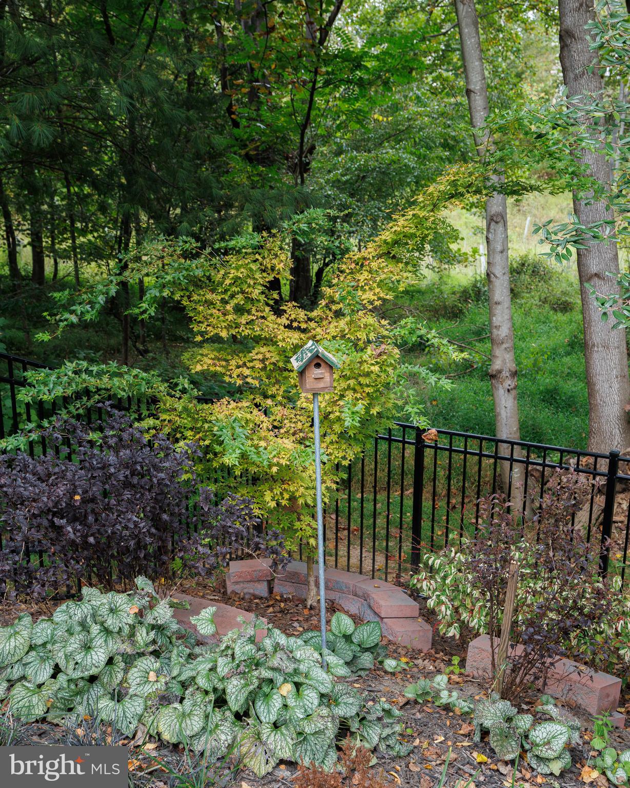 6265 White Birch Road Eldersburg, MD 21784 - Photo 15 of 17 a garden view with a lake