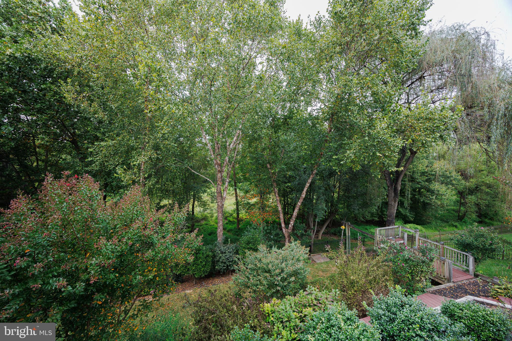 6265 White Birch Road Eldersburg, MD 21784 - Photo 17 of 17 a view of backyard with green space