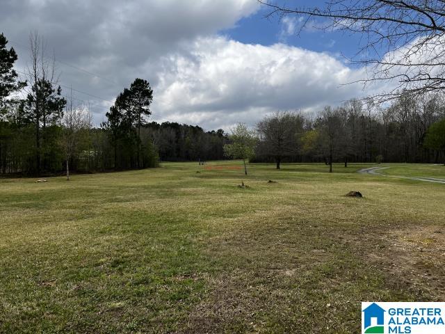 253 Foster Lane Sylacauga, AL 35150 - Photo 16 of 30