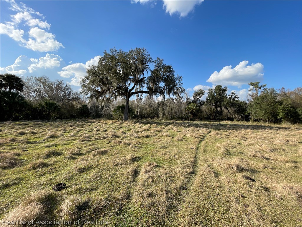 Locklar Road Wauchula, FL 33873 - Photo 3 of 17 a view of a yard
