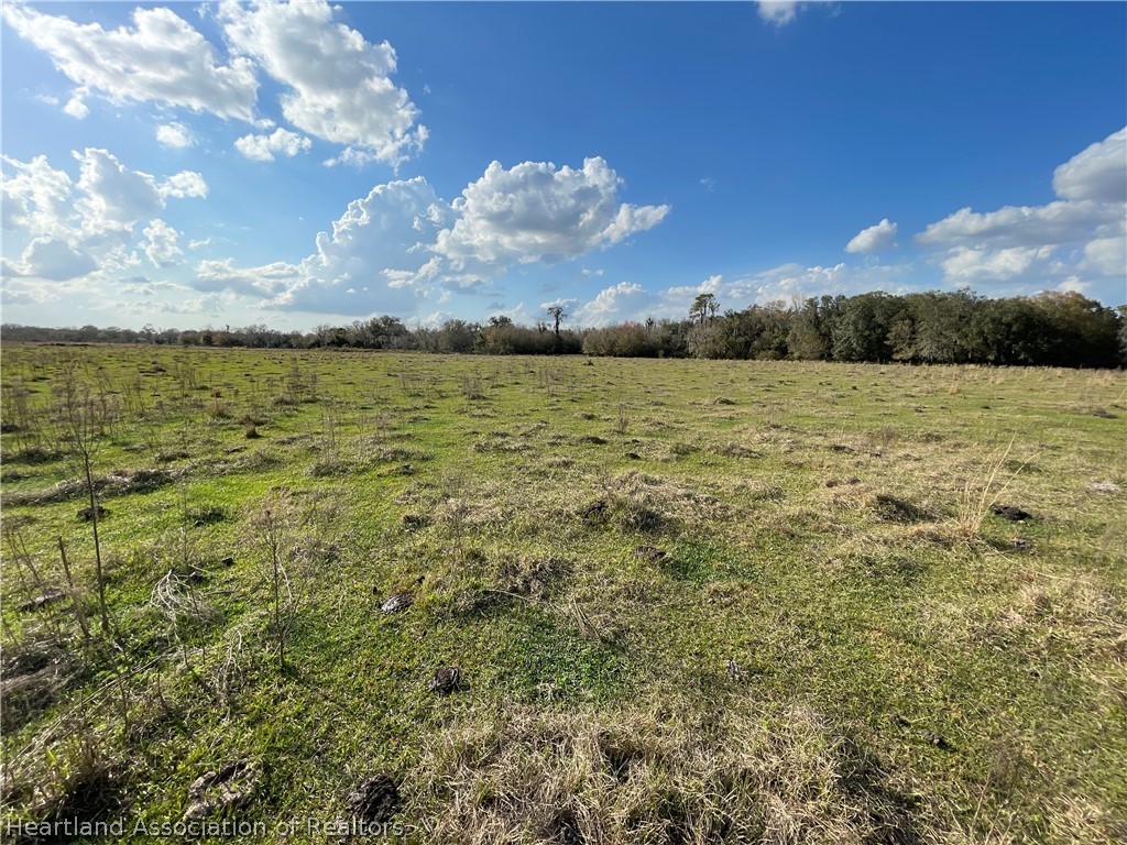 Locklar Road Wauchula, FL 33873 - Photo 4 of 17 a view of a lake