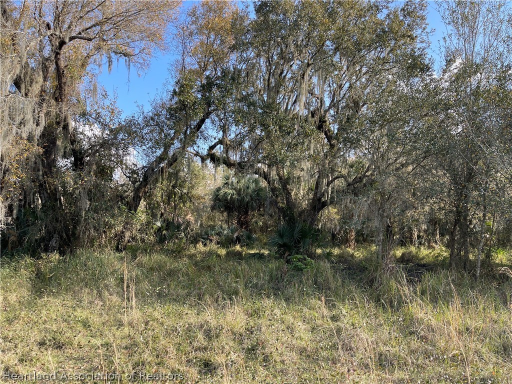 Locklar Road Wauchula, FL 33873 - Photo 8 of 17
