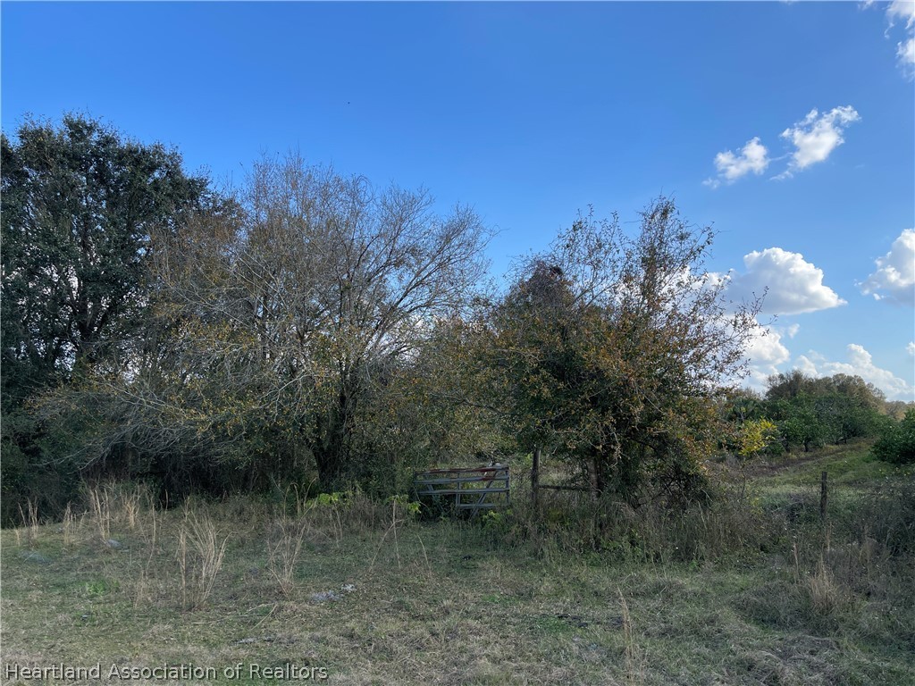 Locklar Road Wauchula, FL 33873 - Photo 10 of 17 a view of a lake with green space