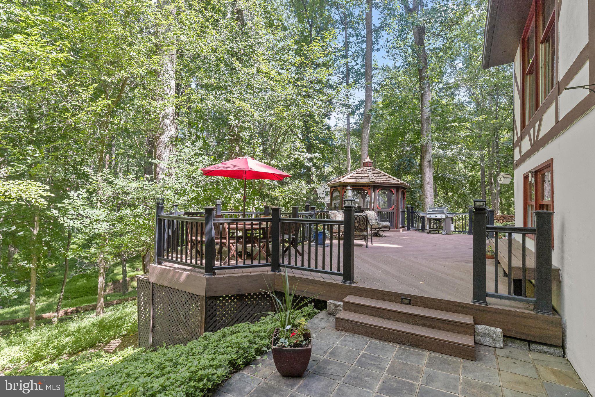 3903 Dance Mill Road Phoenix, MD 21131 - Photo 67 of 79 Patio - Deck - Views