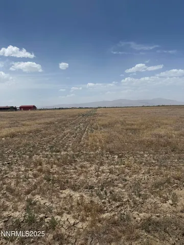 a view of an ocean in a field