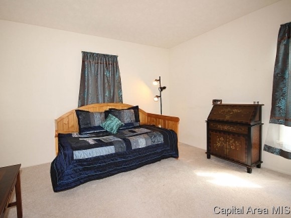 41 Country Place Springfield, IL 62703 - Photo 17 of 20