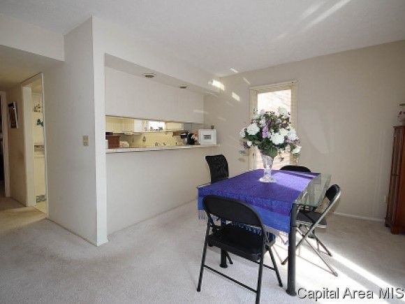 41 Country Place Springfield, IL 62703 - Photo 19 of 20