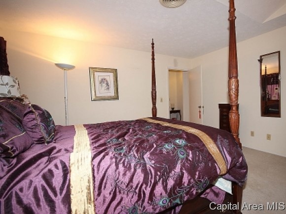 41 Country Place Springfield, IL 62703 - Photo 6 of 20