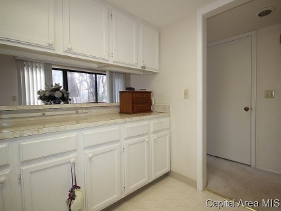 41 Country Place Springfield, IL 62703 - Photo 10 of 20