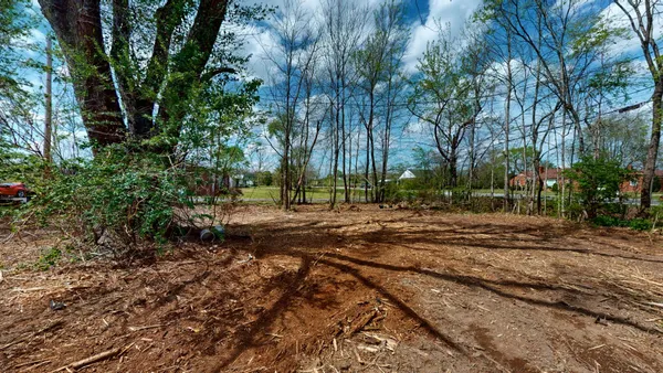 a view of backyard with green space