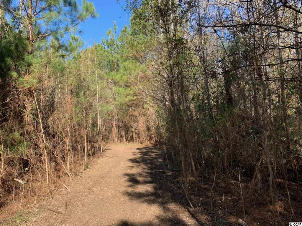 Lot 5 Brantly Road Andrews, SC 29510 - Photo 2 of 3