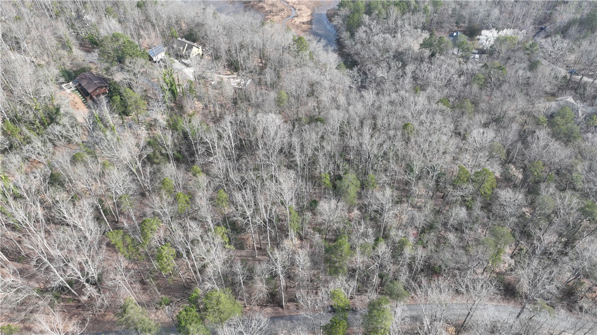 0 Pin Du Lac Drive Central, SC 29630 - Photo 4 of 7 Overhead view