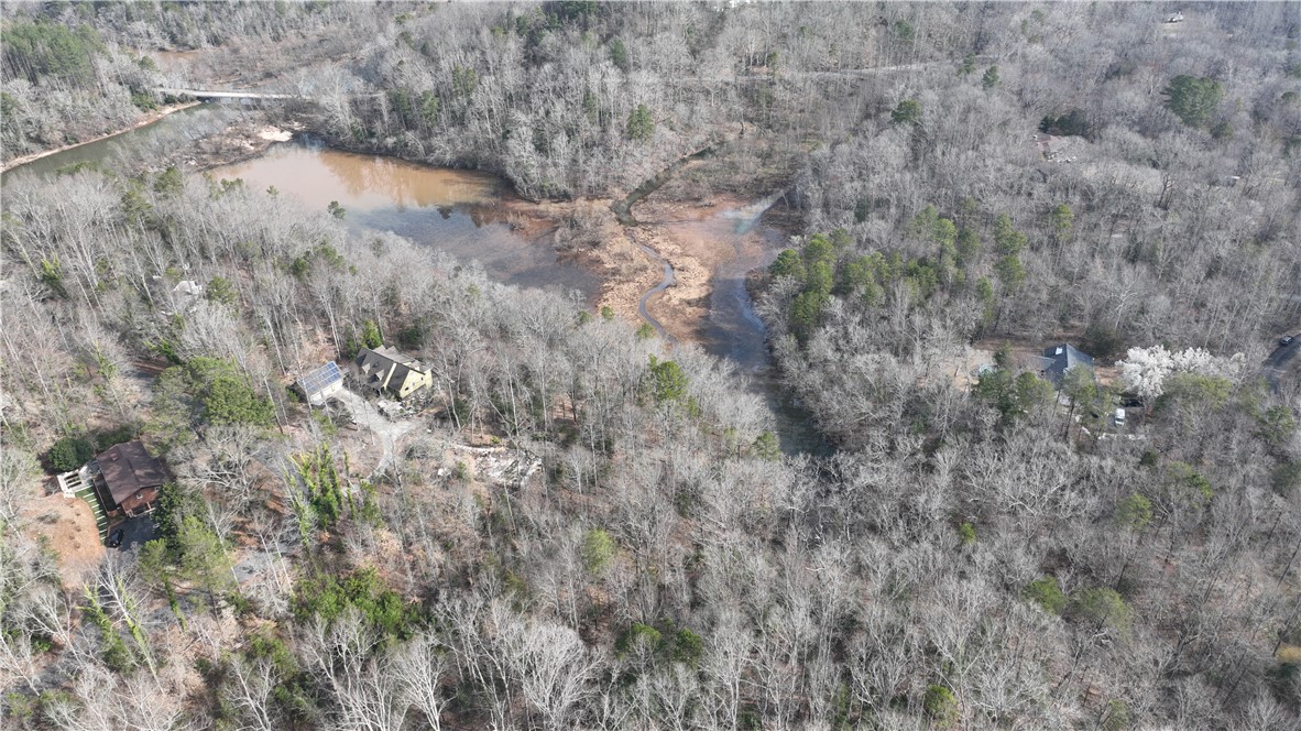 0 Pin Du Lac Drive Central, SC 29630 - Photo 5 of 7 View up Twelve Mile River