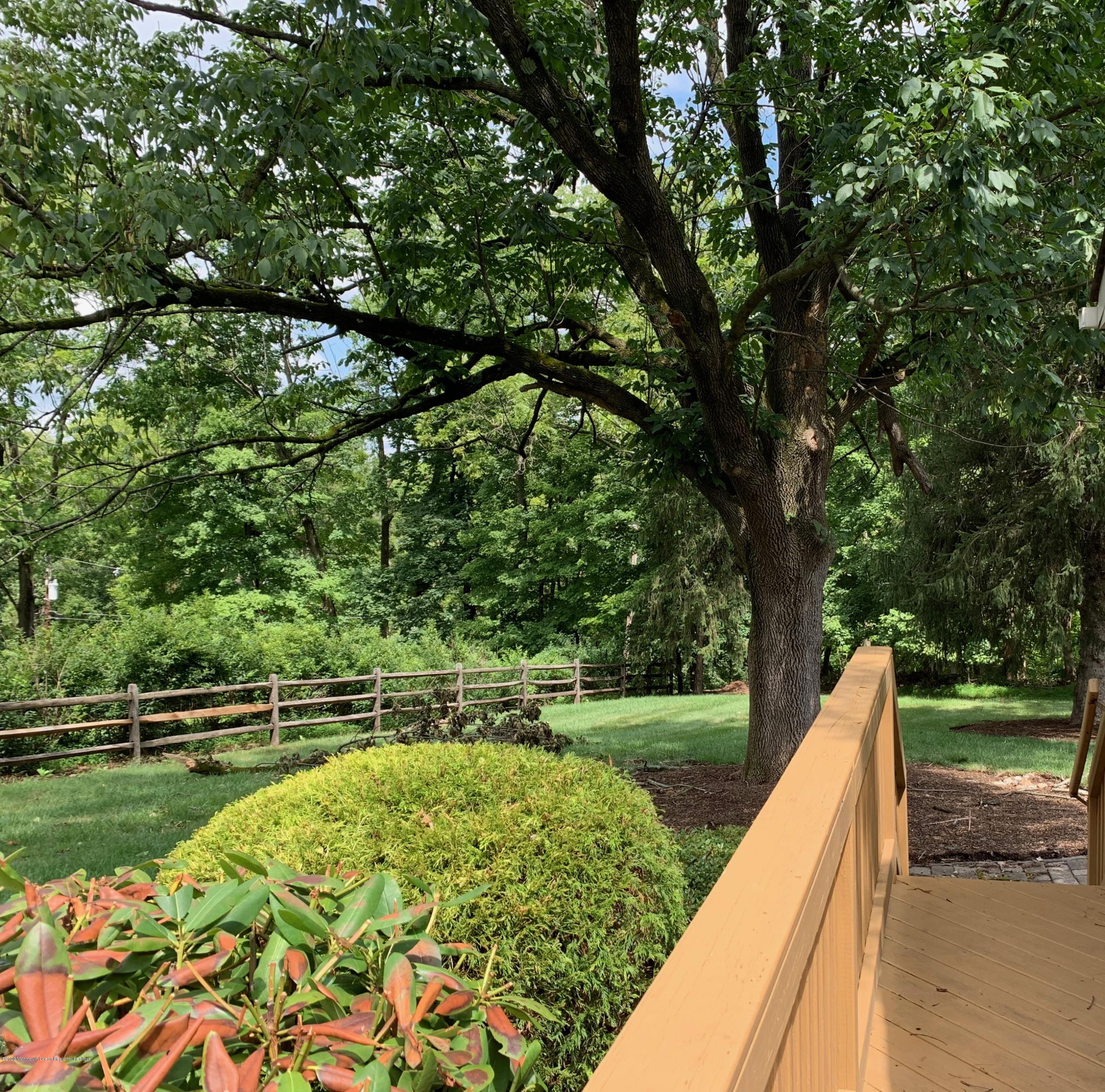 8 Hillsborough Road Flemington, NJ 08822 - Photo 19 of 41 IMG_0713