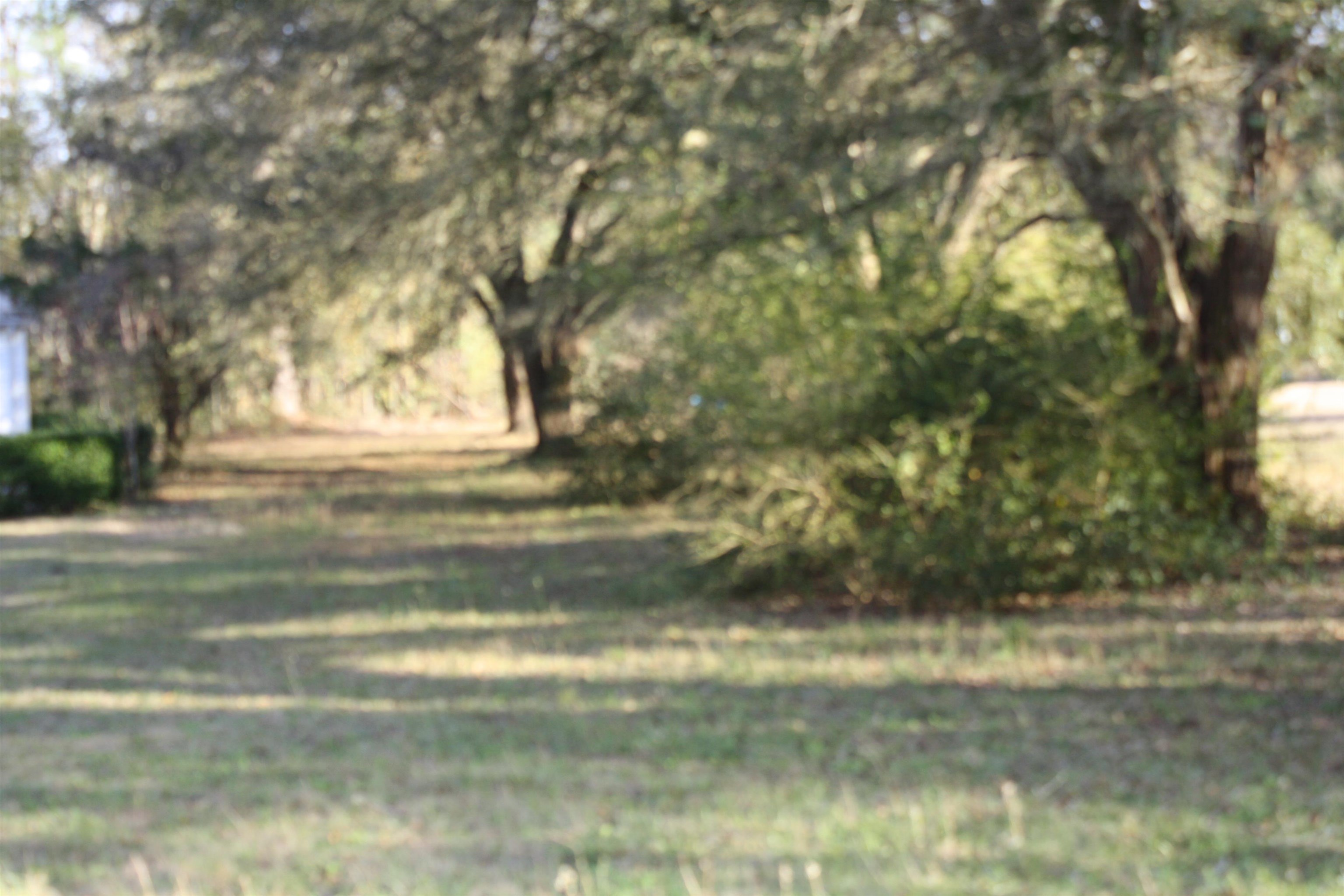 2806 Boston Highway Monticello, FL 32344 - Photo 1 of 22