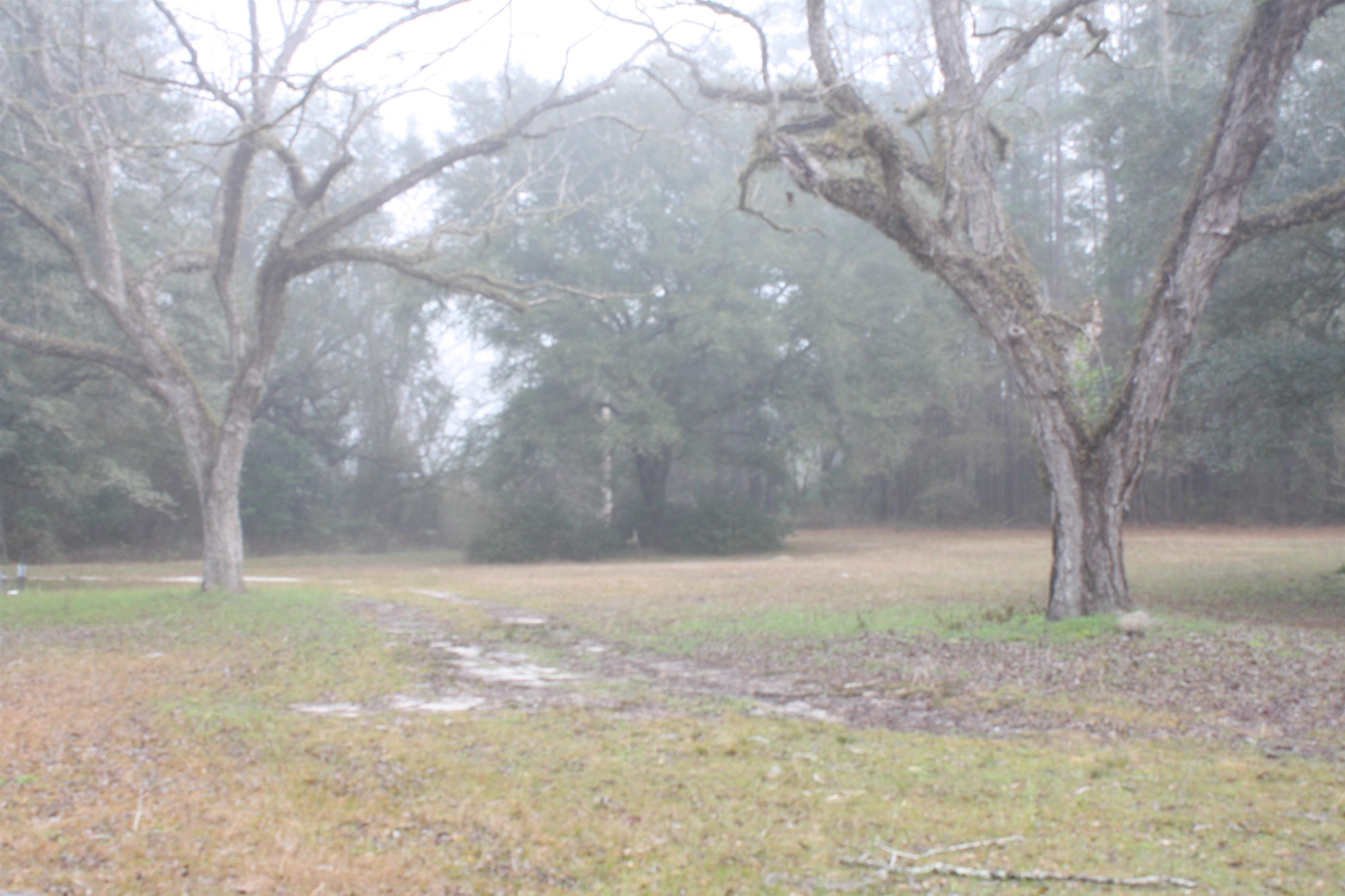 2806 Boston Highway Monticello, FL 32344 - Photo 19 of 22