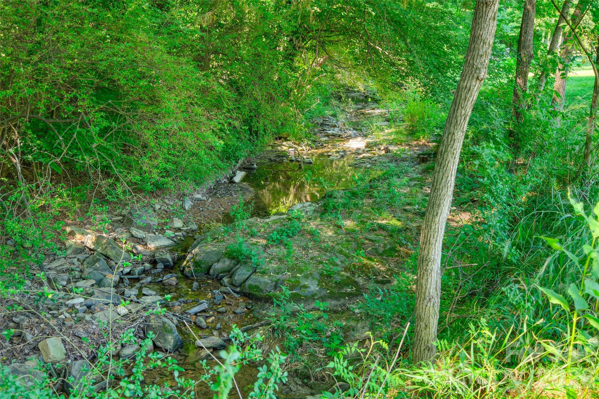Lot 3 Crepts Branch Road, Unit 3 Locust, NC 28097 - Photo 11 of 36 a view of a lush green forest