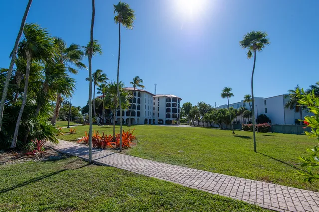 a row of palm trees and swimming pool in the backyard of a house