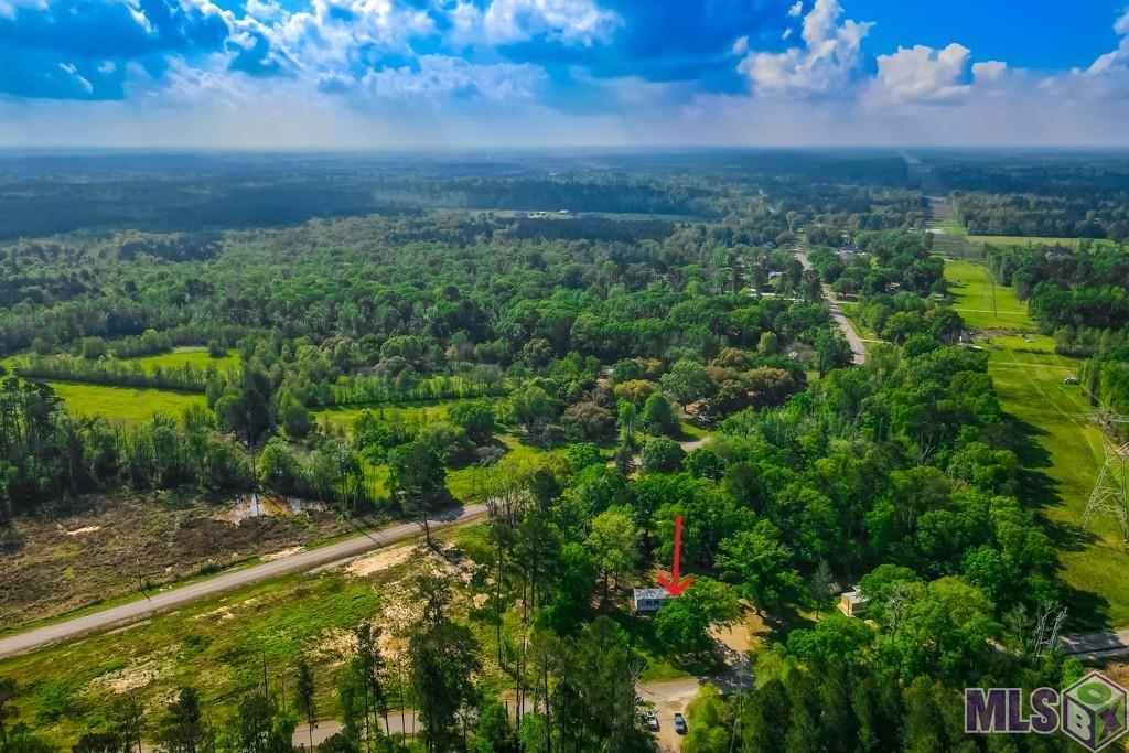 37156 Caraway Road Denham Springs, LA 70706 - Photo 6 of 7