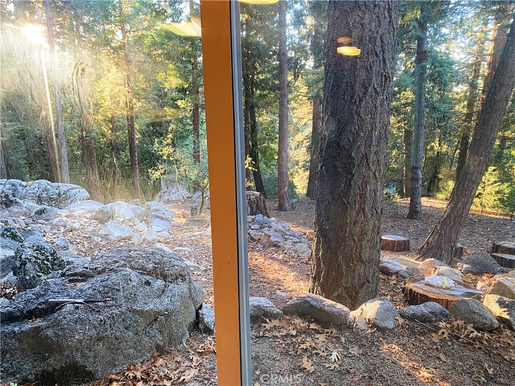 22166 Crestline Road Palomar Mountain, CA 92060 - Photo 31 of 58 a yard with a tree in the back yard