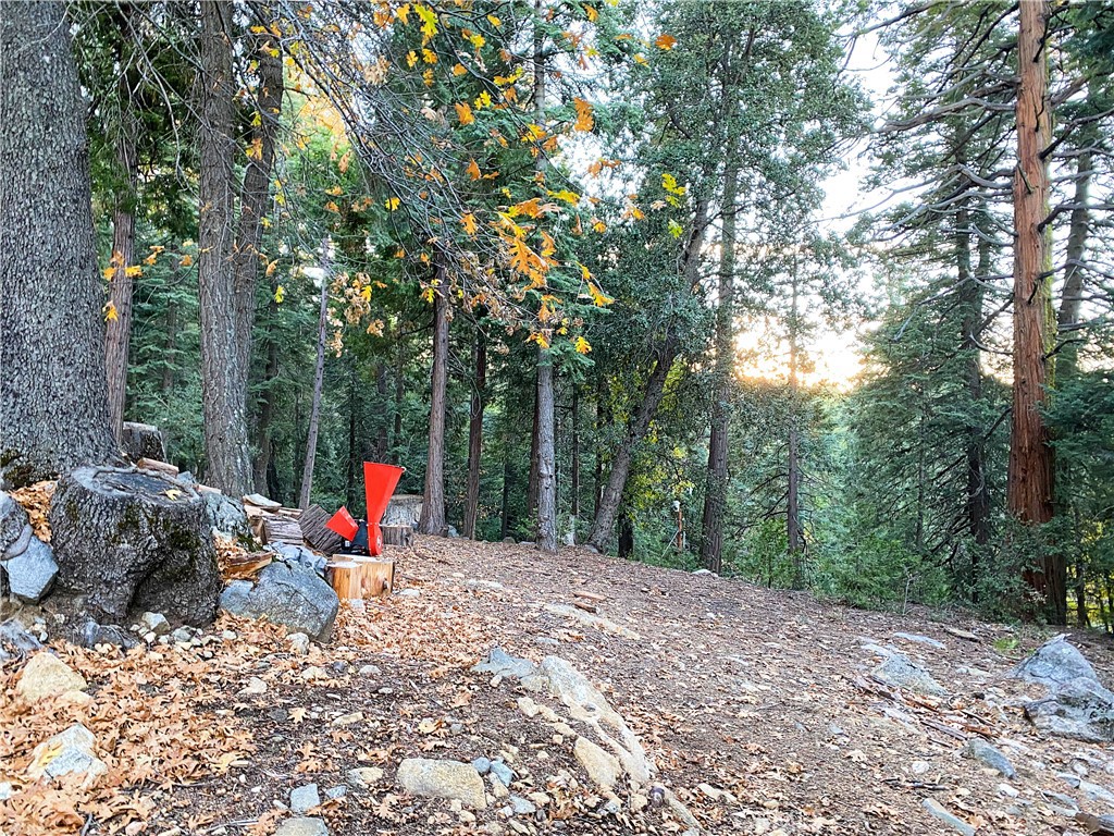 22166 Crestline Road Palomar Mountain, CA 92060 - Photo 36 of 58 a view of outdoor space with garden and entertaining space