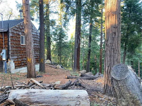 a view of outdoor space yard and patio
