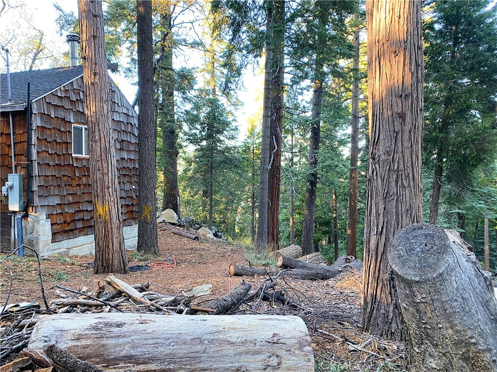 22166 Crestline Road Palomar Mountain, CA 92060 - Photo 38 of 58 a view of a chairs and table in backyard