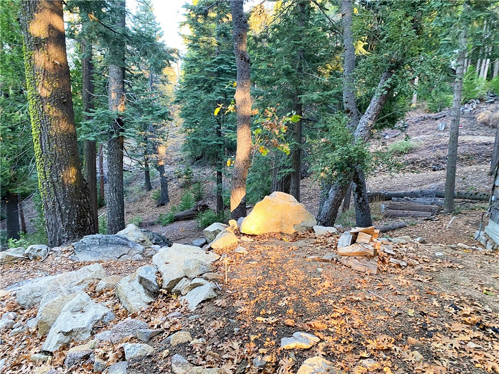 22166 Crestline Road Palomar Mountain, CA 92060 - Photo 41 of 58 a view of a backyard of the house