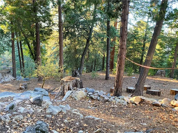a view of a backyard with plants and trees