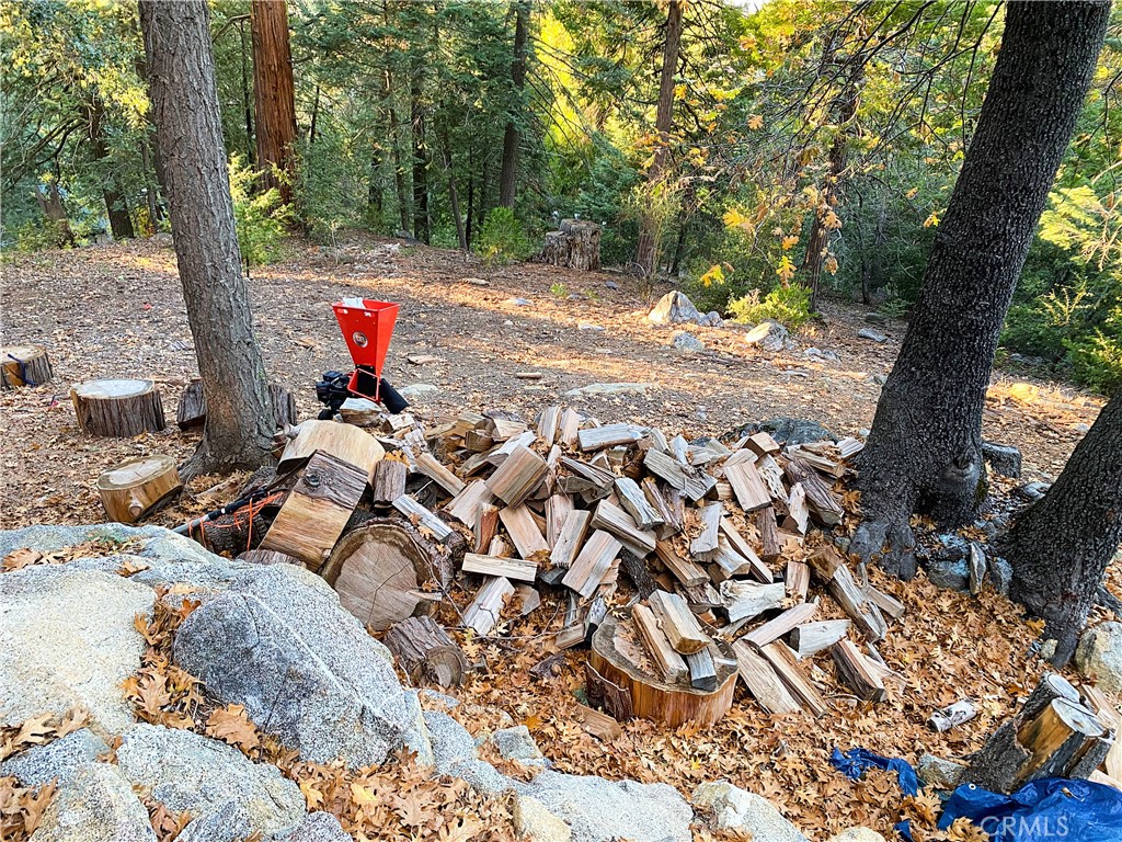 22166 Crestline Road Palomar Mountain, CA 92060 - Photo 45 of 58