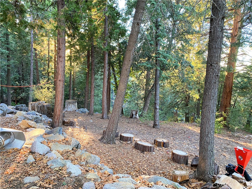 22166 Crestline Road Palomar Mountain, CA 92060 - Photo 46 of 58 a view of a forest filled with trees