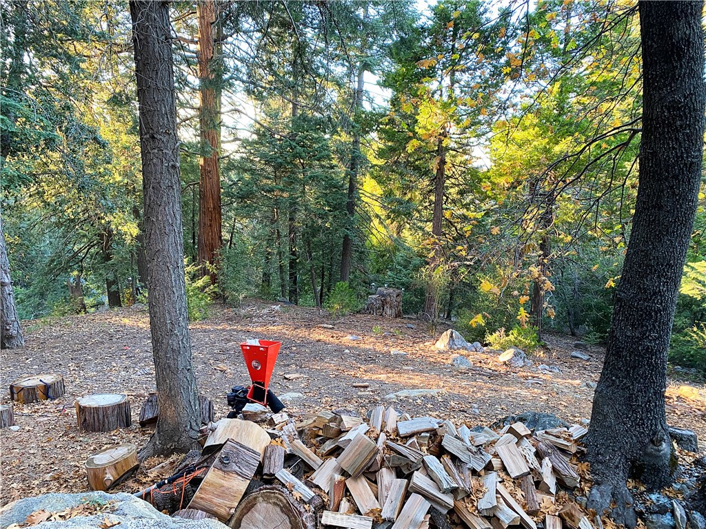 22166 Crestline Road Palomar Mountain, CA 92060 - Photo 47 of 58 a backyard of a house with table and chairs