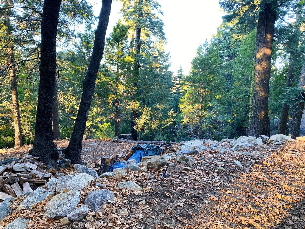 22166 Crestline Road Palomar Mountain, CA 92060 - Photo 48 of 58 a wooden bench with trees in the background