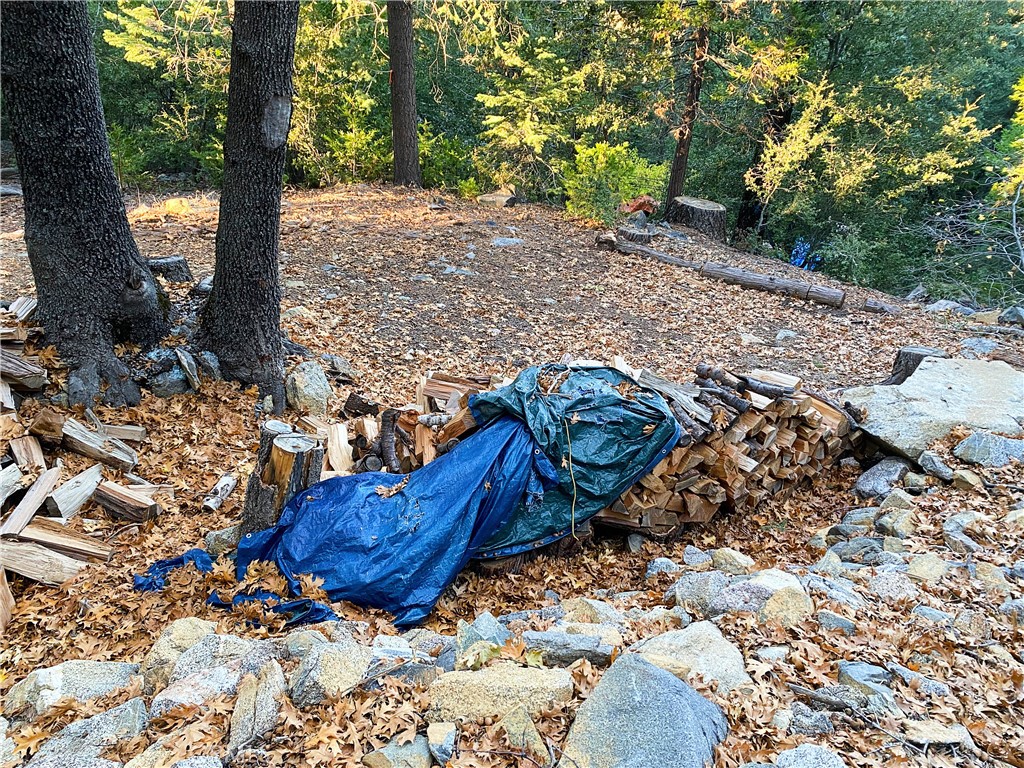 22166 Crestline Road Palomar Mountain, CA 92060 - Photo 49 of 58 a view of a backyard with plants and trees