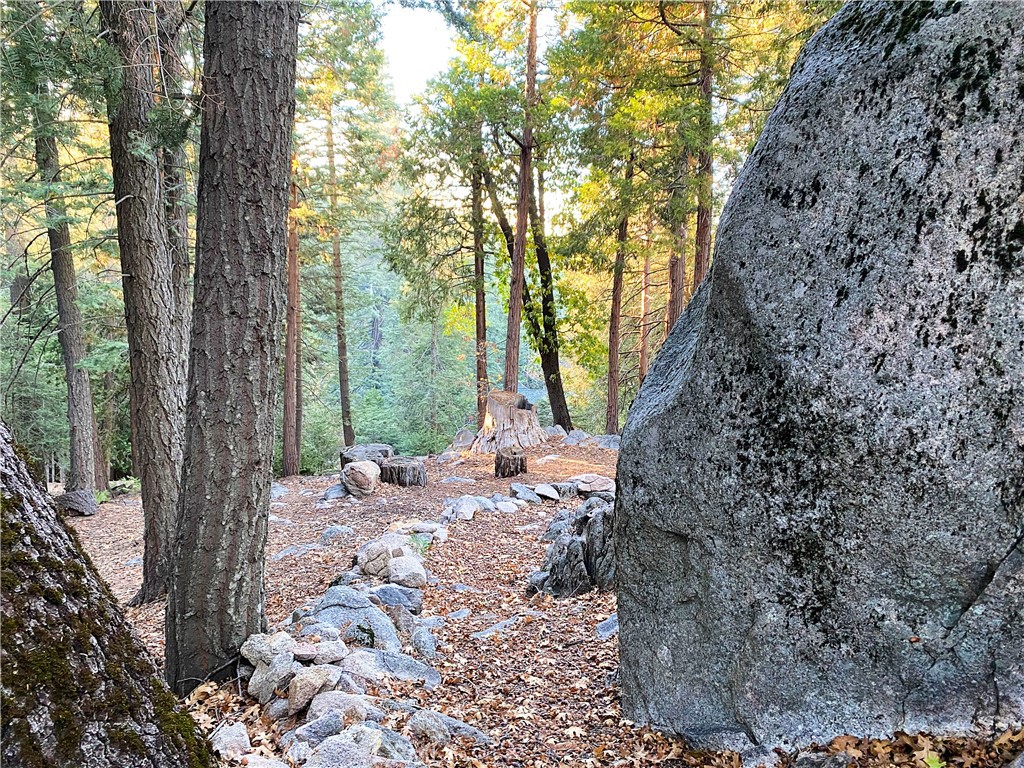 22166 Crestline Road Palomar Mountain, CA 92060 - Photo 56 of 58 a backyard of a house with large trees and outdoor seating