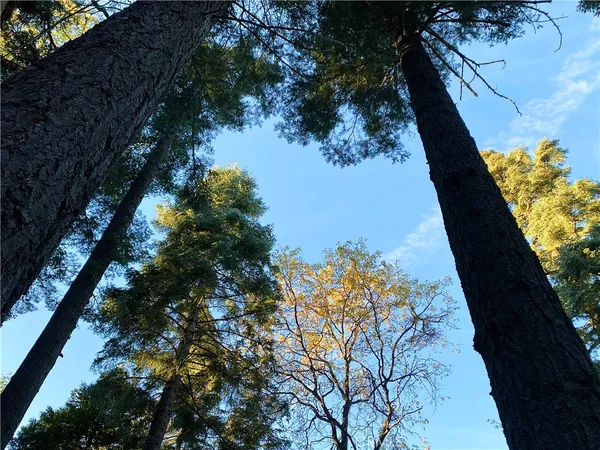 $300,000 | 22166 Crestline Road, Palomar Mountain, CA 92060