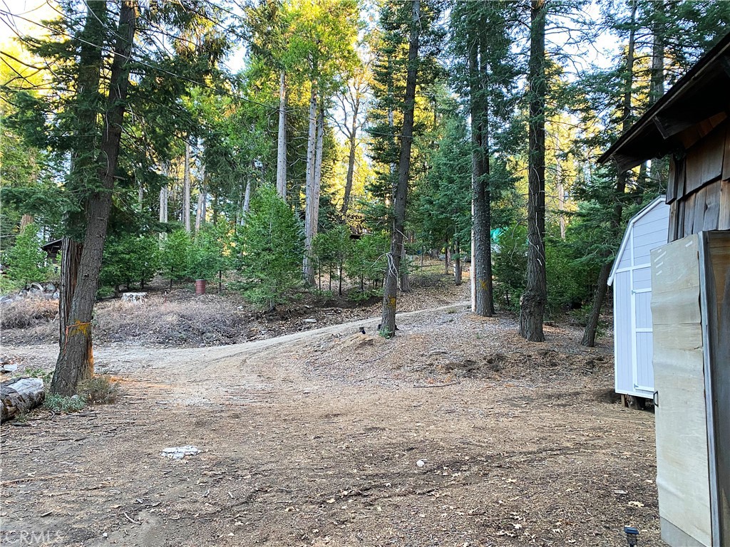22166 Crestline Road Palomar Mountain, CA 92060 - Photo 10 of 58 a view of a out door space area