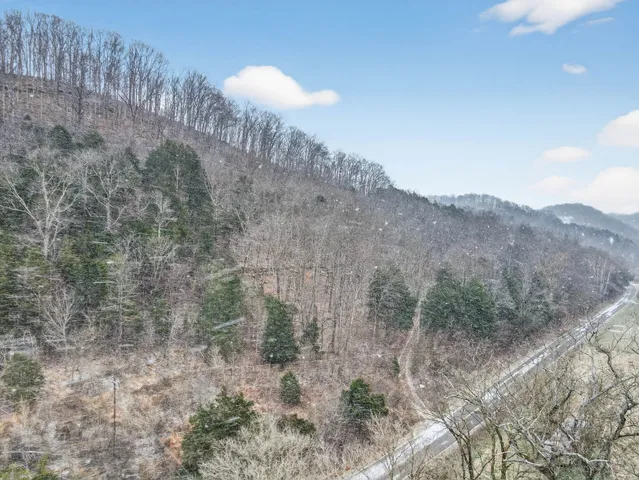 a view of a dry yard with mountains in the background