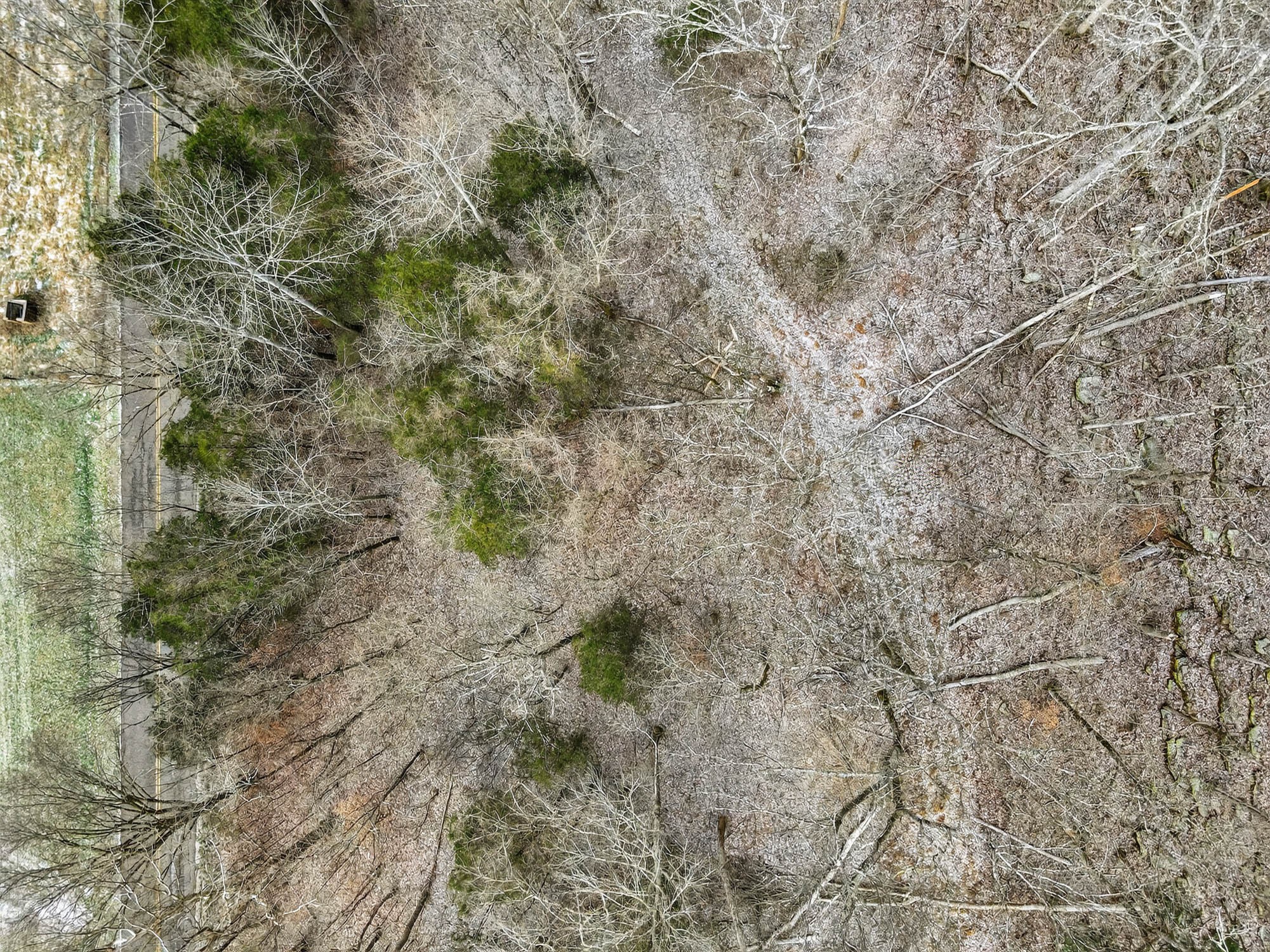 0 Sycamore Valley Road Pleasant Shade, TN 37145 - Photo 11 of 15